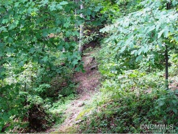 2915 Town Mountain Road - Photo 24