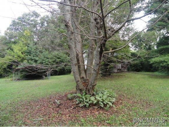 586 Long Shoals Road - Photo 3