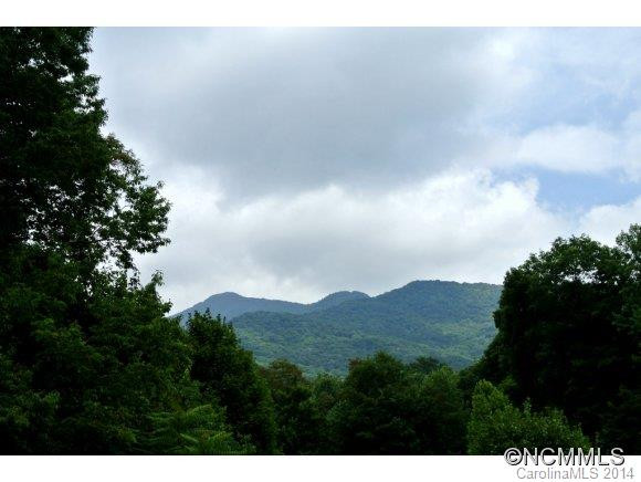 629 Pine Root Branch Road - Photo 13