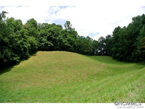 629 Pine Root Branch Road - Photo 4