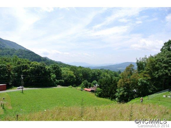 629 Pine Root Branch Road - Photo 5