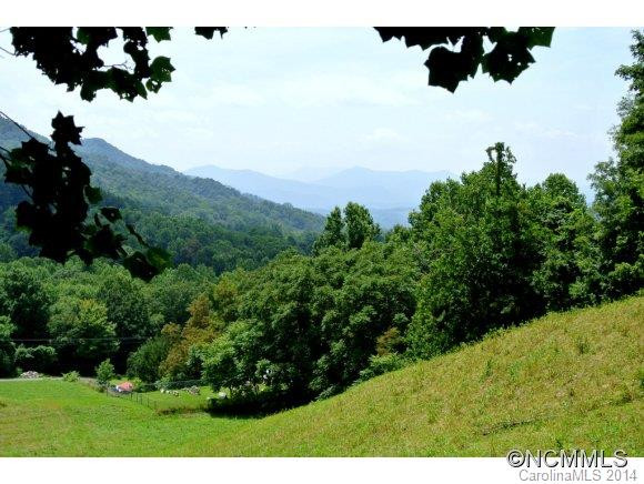 629 Pine Root Branch Road - Photo 8