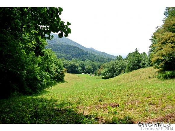 629 Pine Root Branch Road - Photo 10