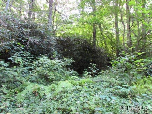 1285 Upper Browns Creek Rd Road - Photo 23