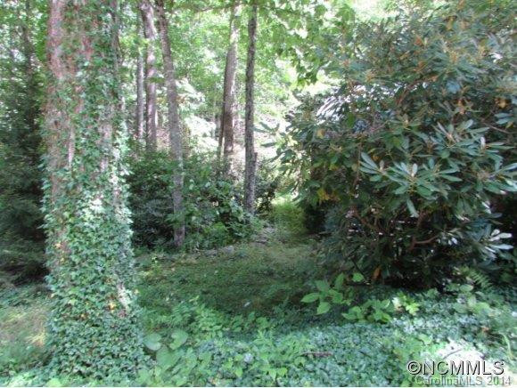1285 Upper Browns Creek Rd Road - Photo 5