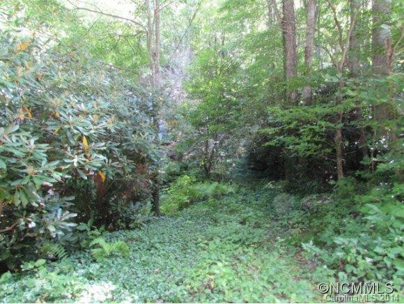 1285 Upper Browns Creek Rd Road - Photo 6