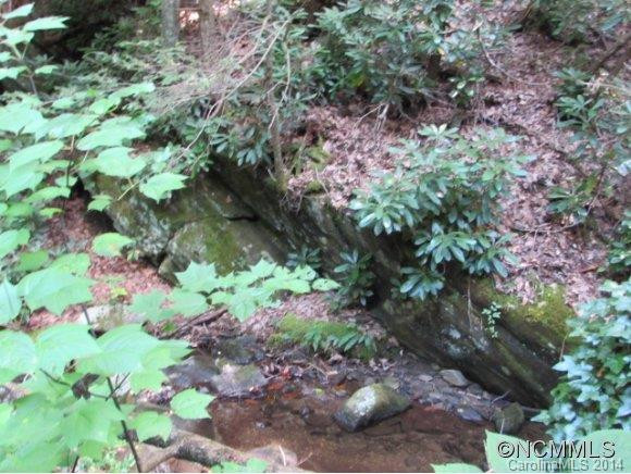 1285 Upper Browns Creek Rd Road - Photo 8