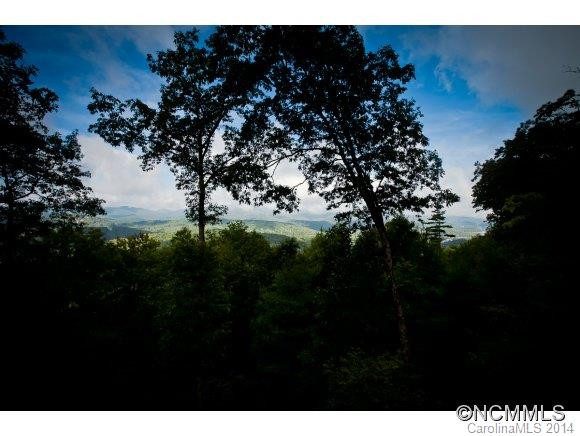 203 Sheep Hollow Way - Photo 8