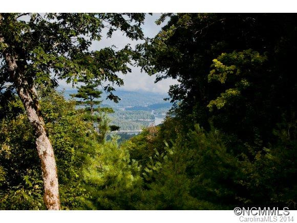203 Sheep Hollow Way - Photo 9