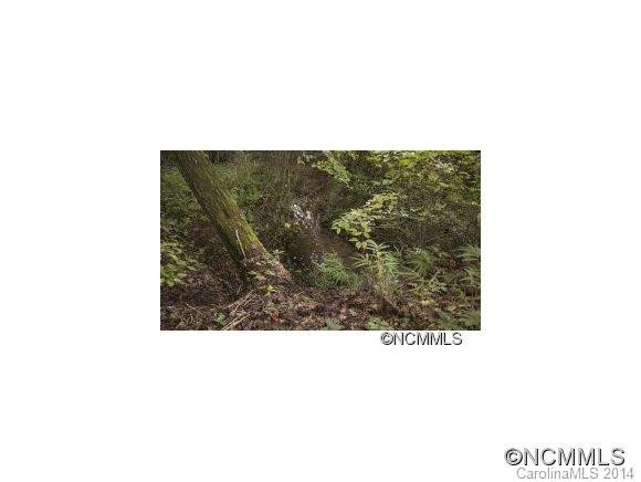 135 Cathey's Creek Church Rd - Photo 4