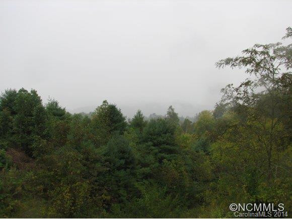 521 Ten Point Lane - Photo 12