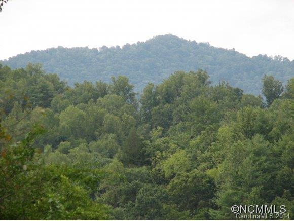 521 Ten Point Lane - Photo 8