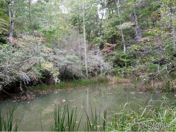 892 Calhoun Trail - Photo 3
