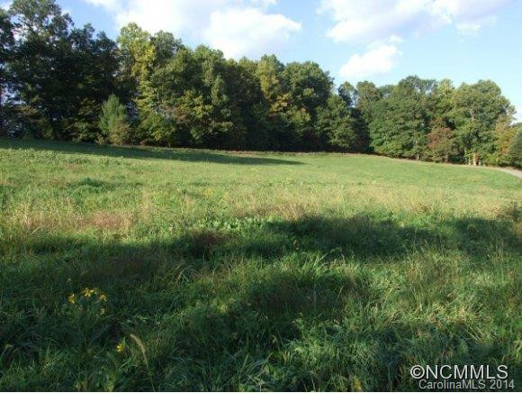 700 BIG BRUSH CREEK - Photo 4