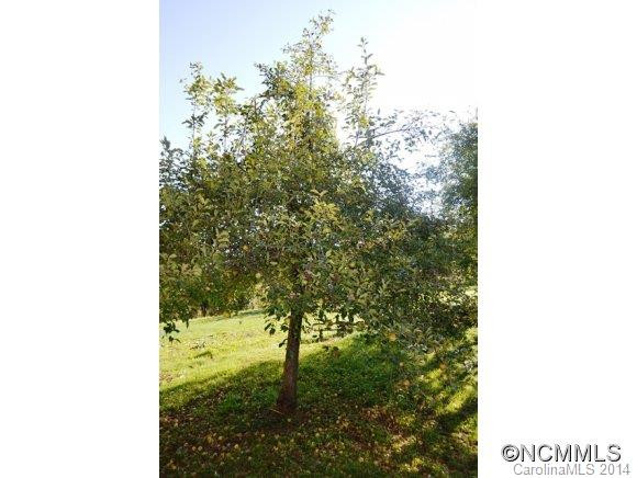 98 Moores Valley Rd - Photo 12