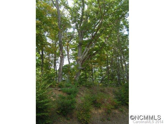 1121 White Pine Road - Photo 5