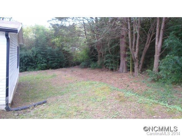 339 Turkey Pen Gap Road - Photo 4