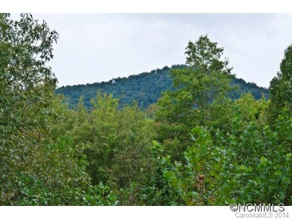 1023 Ashe Bridge Road - Photo 2