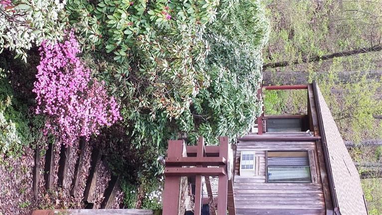 198 Brooks Branch - Photo 2