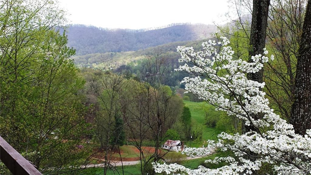 198 Brooks Branch - Photo 3