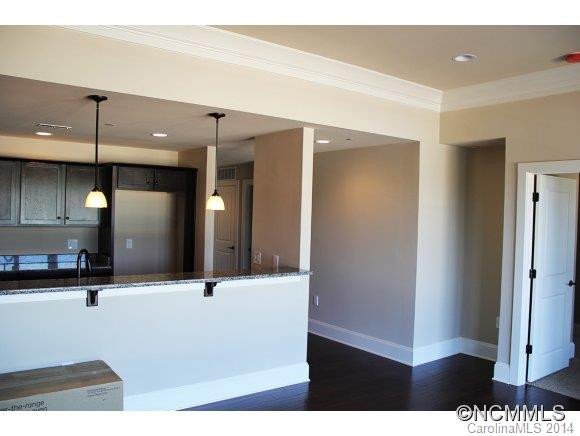 29 West French Broad St, Unit 316 - Photo 4