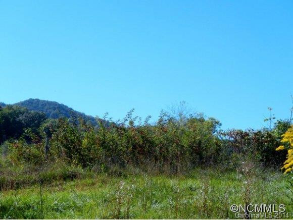 35 Jones Patton Road - Photo 3