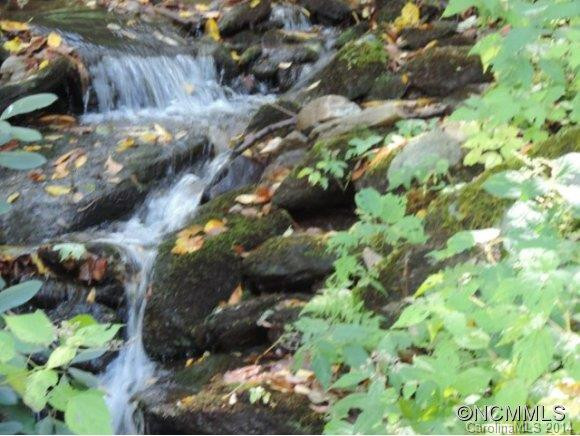 427 Wildcat Run Road - Photo 2