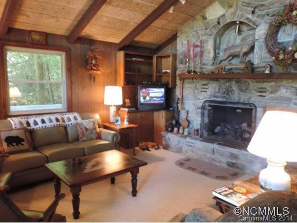 427 Wildcat Run Road - Photo 11
