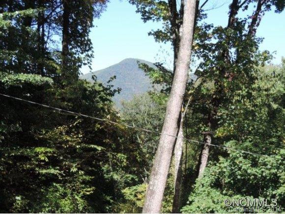 427 Wildcat Run Road - Photo 16