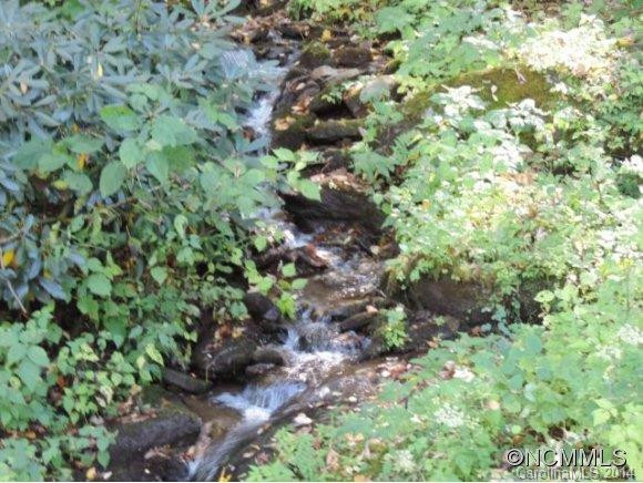 427 Wildcat Run Road - Photo 3