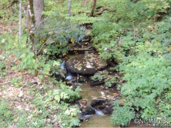 427 Wildcat Run Road - Photo 4
