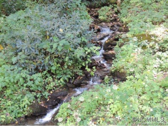 427 Wildcat Run Road - Photo 5