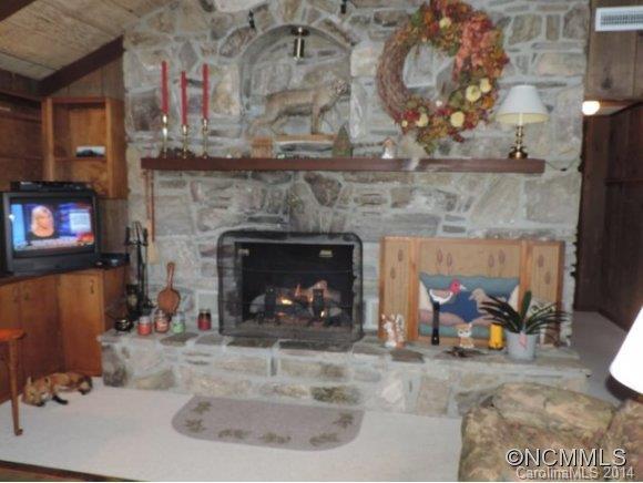 427 Wildcat Run Road - Photo 10