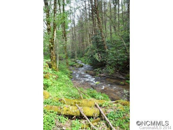 1625 Roaring Fork Rd. - Photo 8