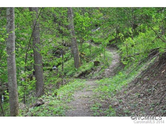 1625 Roaring Fork Rd. - Photo 9