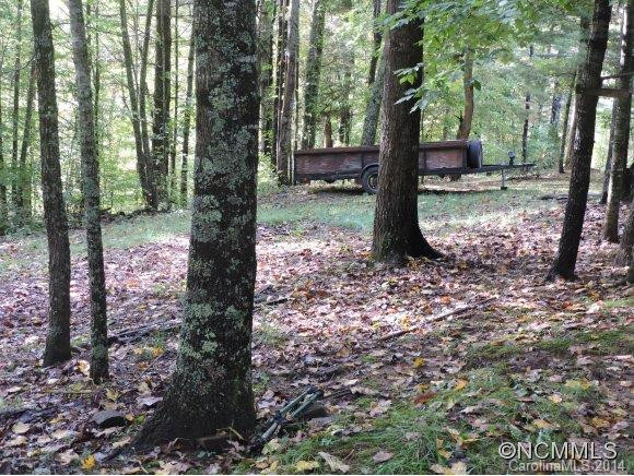 978 Dam Rd - Photo 5