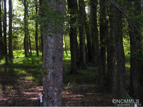 40 Robinson Acres Lane - Photo 13