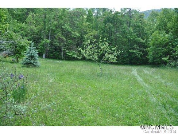 905 Beasley Cove Rd. - Photo 23