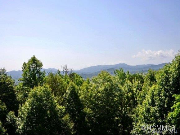 386 CEDAR GAP WAY - Photo 2