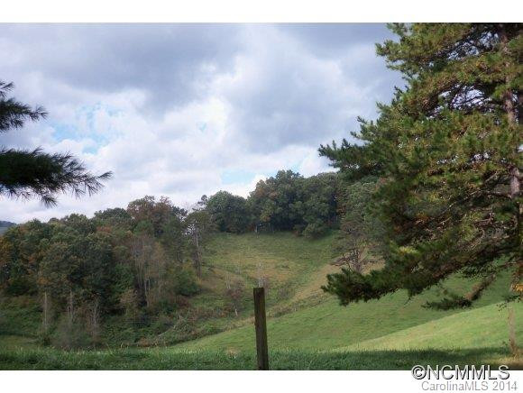 201 Tall Timbers Lane - Photo 17