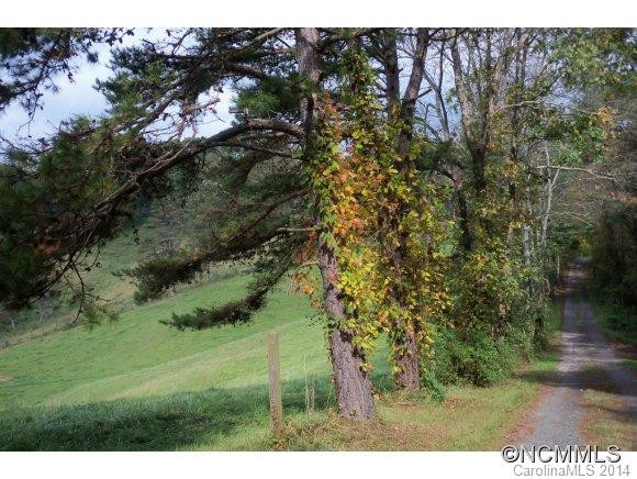 201 Tall Timbers Lane - Photo 20
