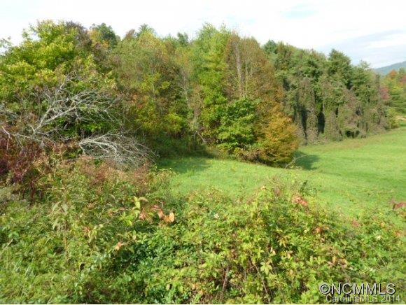 689 Cutshall Town Rd - Photo 2