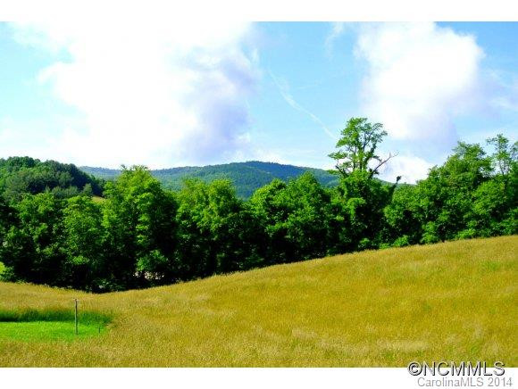 154 Dula Road - Photo 2
