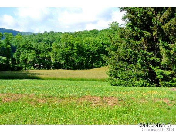 154 Dula Road - Photo 13