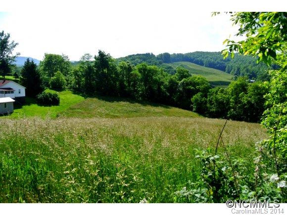 154 Dula Road - Photo 4