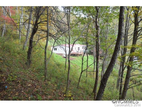 115 Slick Ridge - Photo 11