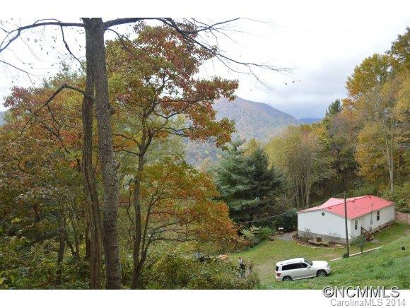 115 Slick Ridge - Photo 19