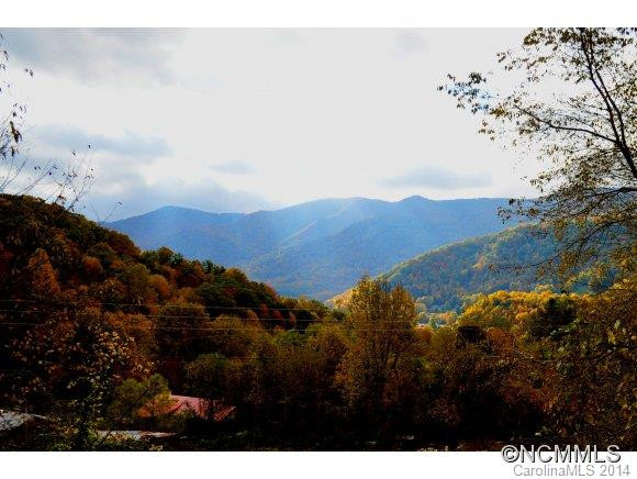 115 Slick Ridge - Photo 3