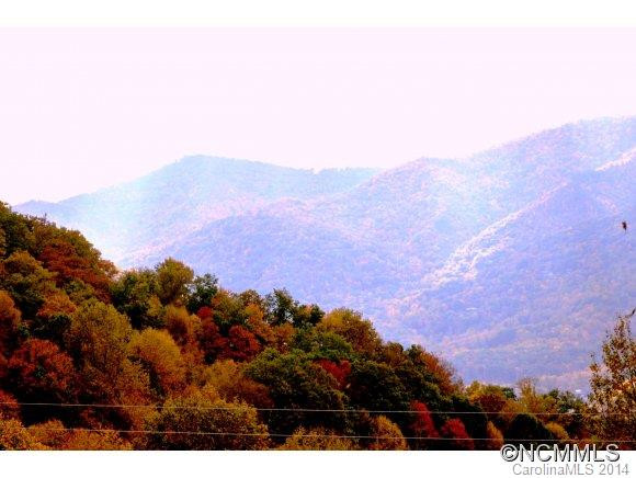115 Slick Ridge - Photo 4