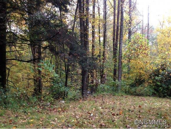 6401 Cullowhee Mountain Road - Photo 18